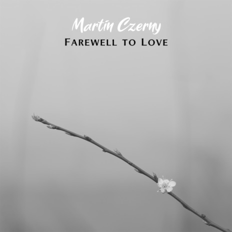 Farewell to Love | Boomplay Music