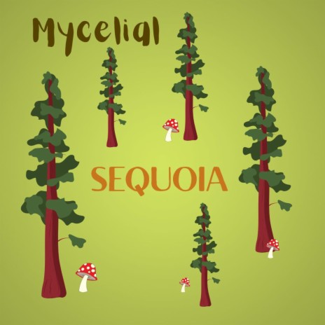 Sequoia | Boomplay Music