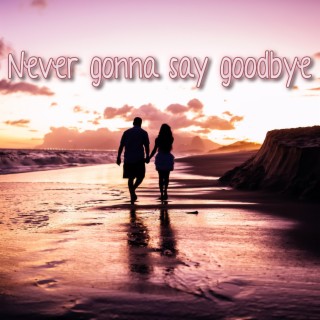 Never gonna say goodbye