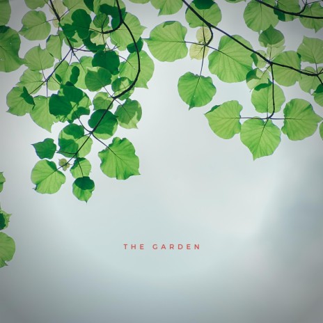 I Saw the Garden | Boomplay Music