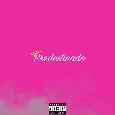 Predestinado(Speed up) | Boomplay Music