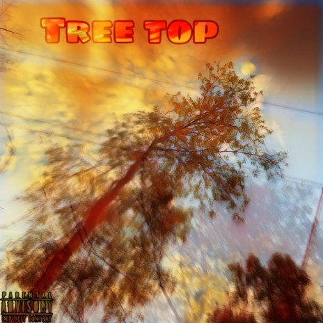 Tree top