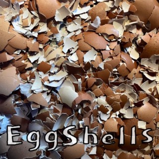 Eggshells lyrics | Boomplay Music