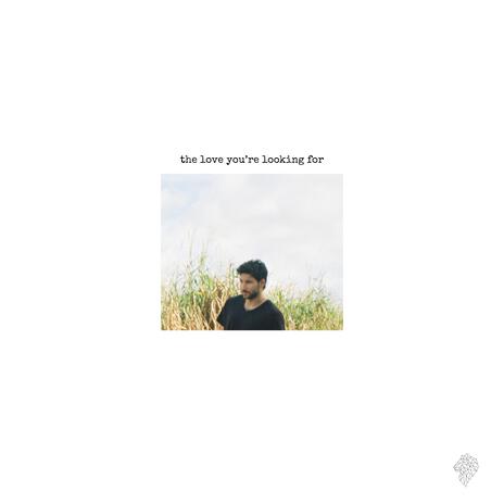 the love you're looking for | Boomplay Music