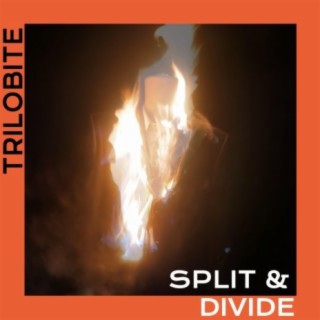 Split & Divide