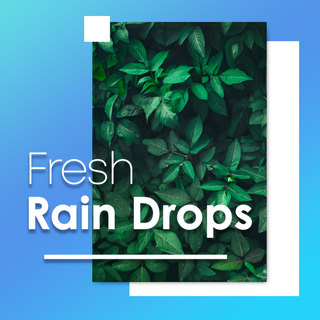 Fresh Rain Drops