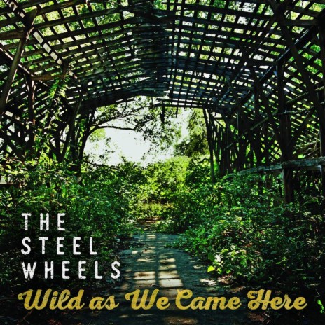 Wild As We Came Here | Boomplay Music