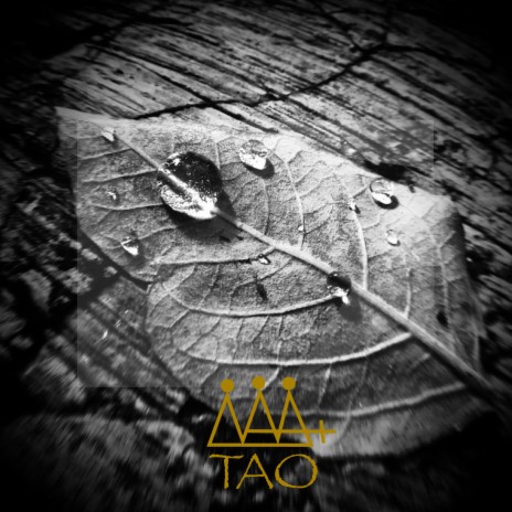 Tao | Boomplay Music