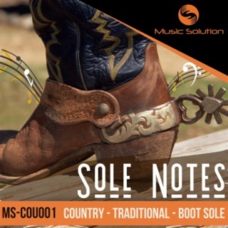 Sole Notes