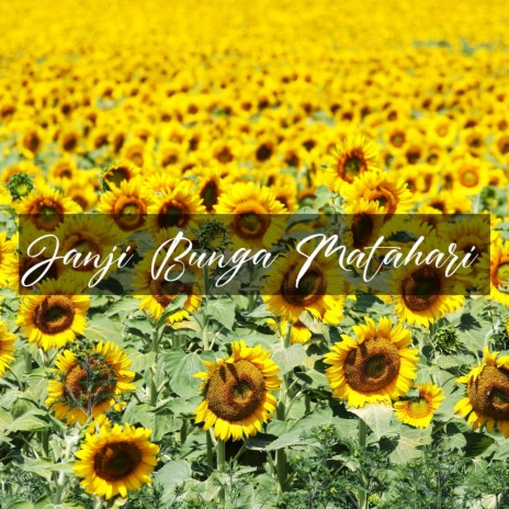 Janji Bunga Matahari | Boomplay Music