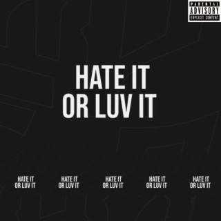 Hate it or Luv it lyrics | Boomplay Music
