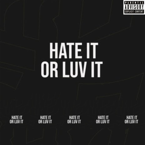 Hate it or Luv it | Boomplay Music