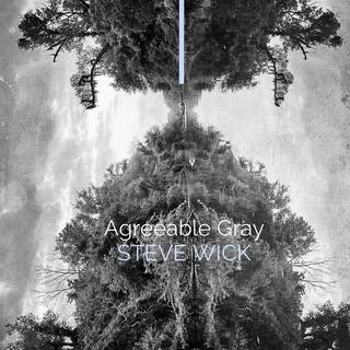 Agreeable Gray