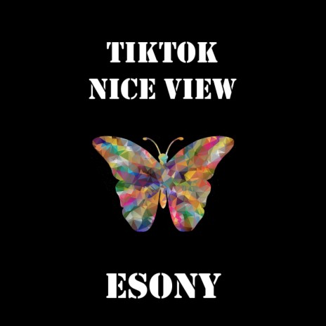Tiktok Nice View | Boomplay Music