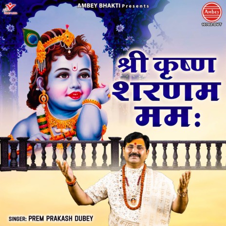Shri Krishna Sharanam Mamah | Boomplay Music
