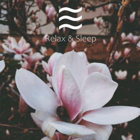 Relax with Ambient of Nature | Boomplay Music