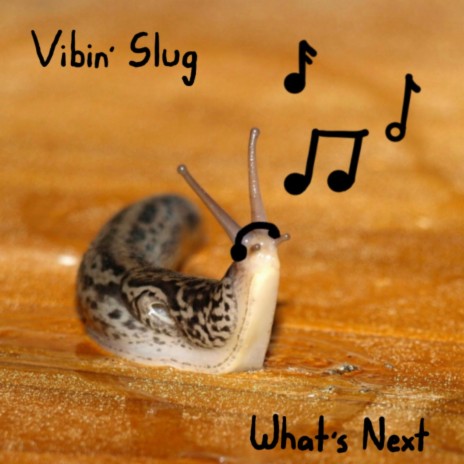 Vibin' Slug | Boomplay Music