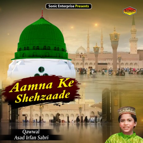 Aamna Ke Shehzaade (Islamic) | Boomplay Music