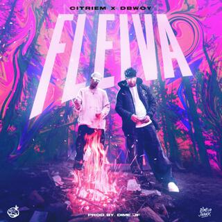 FLEIVA ft. Dbwoy lyrics | Boomplay Music