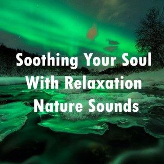 Soothing Your Soul with Relaxation Nature Sounds