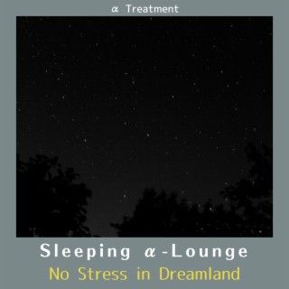 Sleeping Α-lounge - No Stress in Dreamland