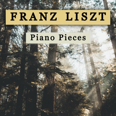 Hungarian Rhapsody No.8 in F Sharp Minor, S.244: Franz Liszt | Boomplay Music