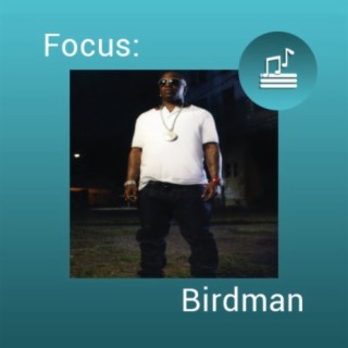 Focus: Birdman