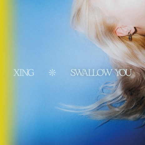Swallow You