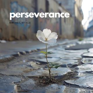 Perseverance