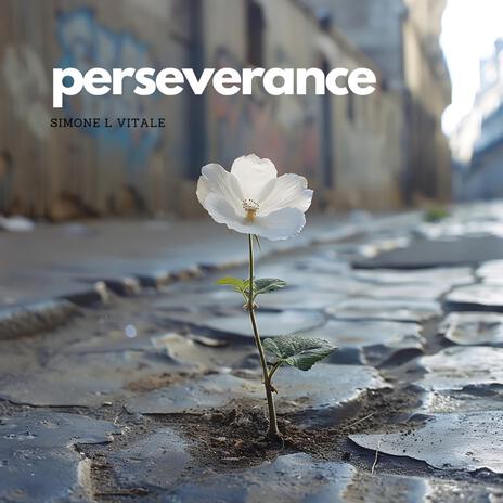 Perseverance | Boomplay Music