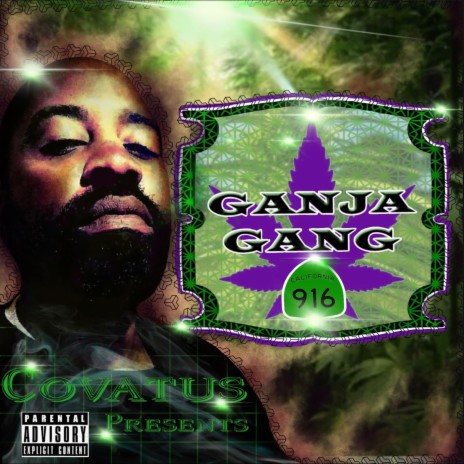 Ganja Gang 916 ft. Covatus & C.L. Richie | Boomplay Music