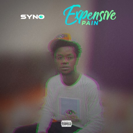 Expensive Pain 🅴 | Boomplay Music