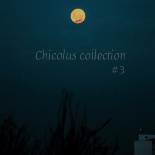 Chicolus collection 3