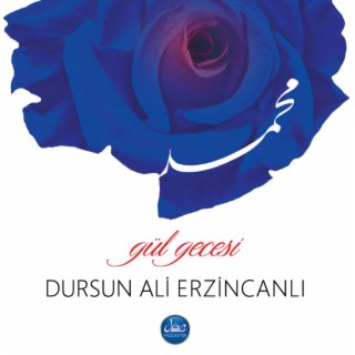 Gül Gecesi