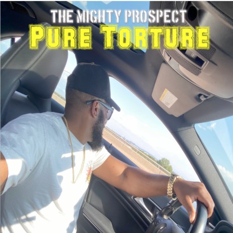 Pure Torture | Boomplay Music