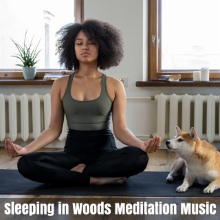 Sleeping in Woods Meditation Music