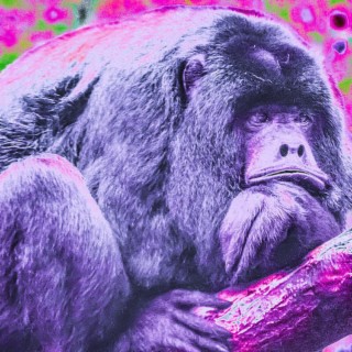 Purple Ape