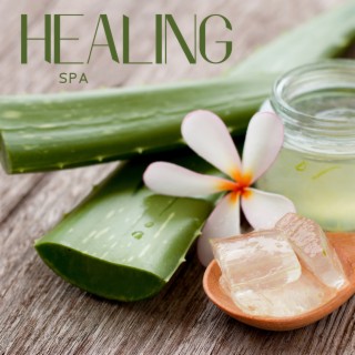Healing Spa: Relaxation Environment and Meditation Music for the Soul