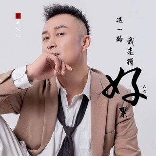 这一路我走得好累 lyrics | Boomplay Music