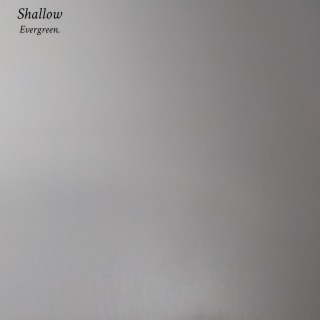 Shallow lyrics | Boomplay Music