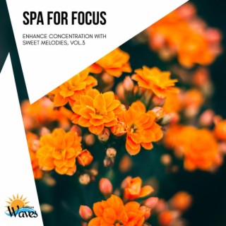 Spa for Focus - Enhance Concentration with Sweet Melodies, Vol.3