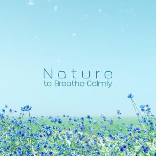 Nature to Breathe Calmly: Sleep Solution Music with Water Sounds, Anxiety Relief before Bed and Slow Thoughts