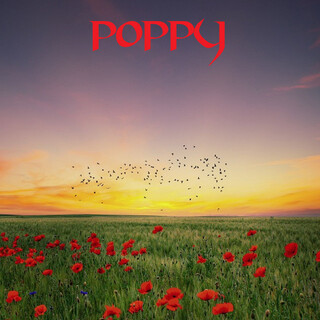 Poppy