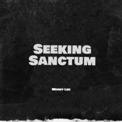 Seeking Sanctum | Boomplay Music