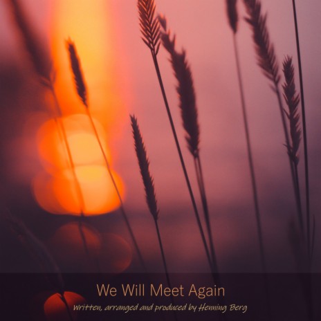 We Will Meet Again (Cinematic Version) | Boomplay Music