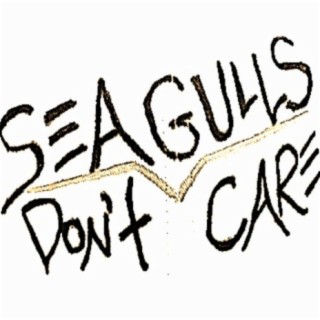 Seagulls Don't Care