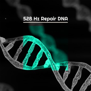 528 Hz Repair DNA: Régénération nerveuse, Apporter une transformation positive, Musique de guérison