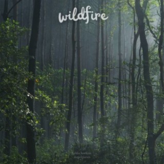 Wildfire