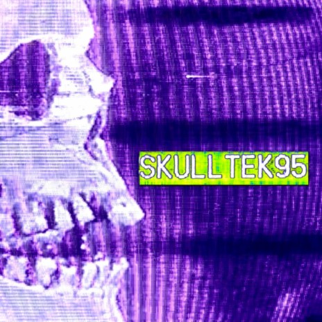 skulltek95