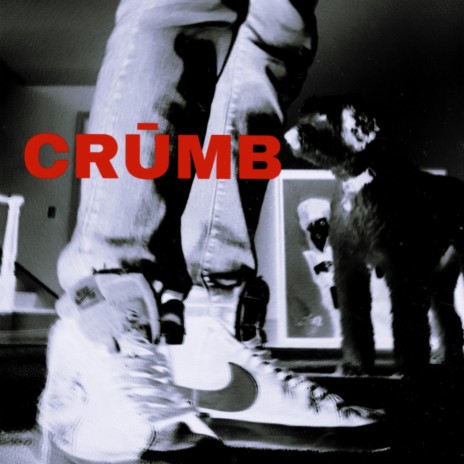 CRUMB6666666666666 | Boomplay Music